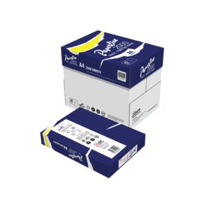 CAJA DE 10 RESMAS DE PAPERLINE 2000 TAMAÑO CARTA